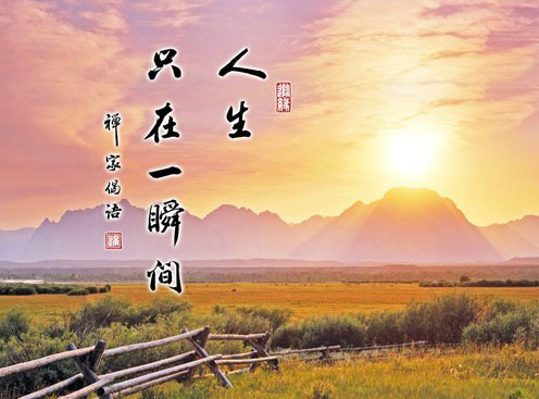 jinhua